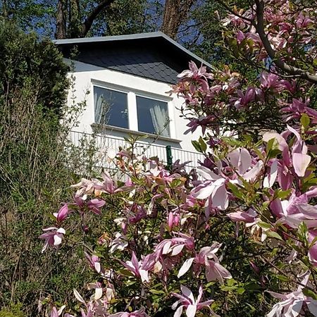 Das Ferienhaus Mit Aussicht ピルナ エクステリア 写真