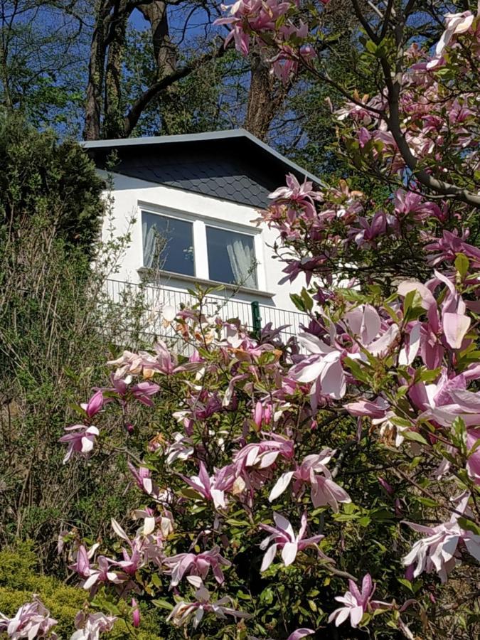 Das Ferienhaus Mit Aussicht ピルナ エクステリア 写真