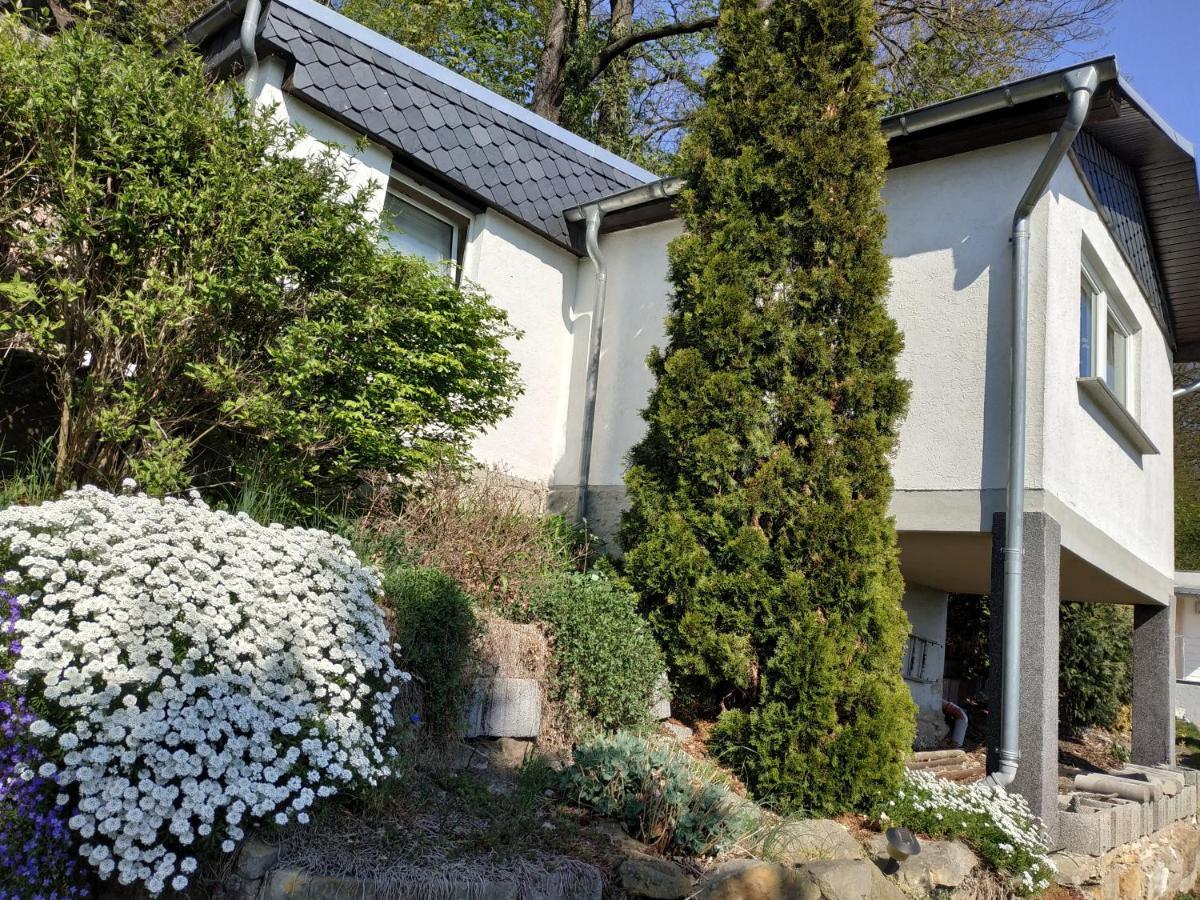 Das Ferienhaus Mit Aussicht ピルナ エクステリア 写真