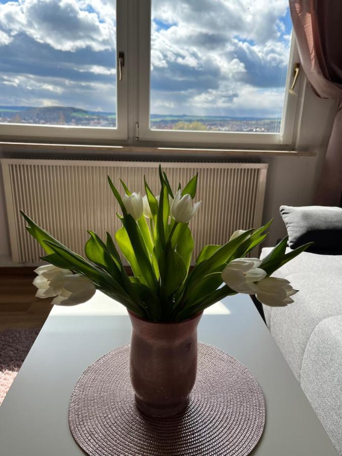 Das Ferienhaus Mit Aussicht ピルナ エクステリア 写真